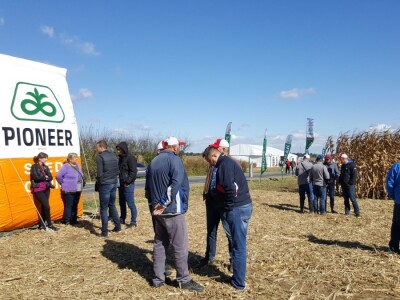 Dan polja kukuruza Pioneer u Španatu
