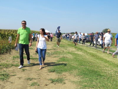 Dan polja kukuruza, soje i suncokreta.