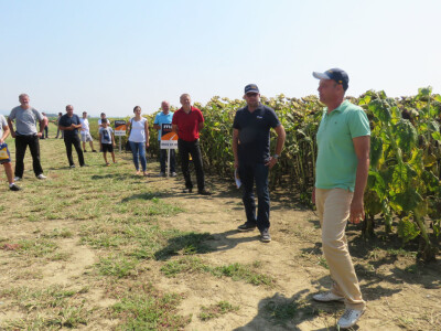 Dan polja kukuruza, soje i suncokreta.