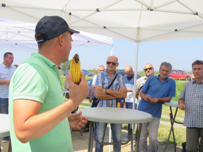 Dan polja kukuruza, soje i suncokreta.