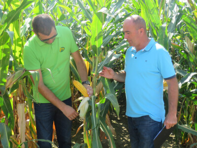 Dan polja kukuruza, soje i suncokreta.