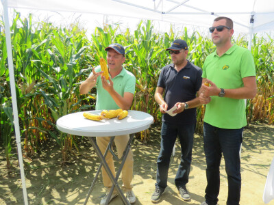 Dan polja kukuruza, soje i suncokreta.