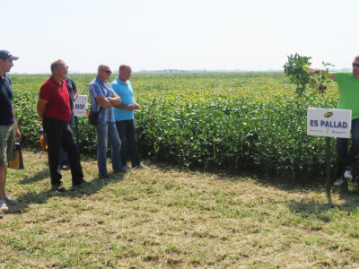 Dan polja kukuruza, soje i suncokreta.