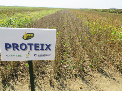 Dan polja kukuruza, soje i suncokreta.