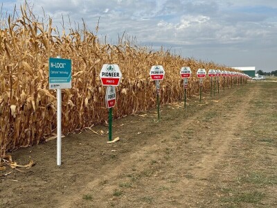 Dan polja kukuruza tvrtke Corteva na pokušalištu FAZOS-a