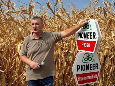 Dan polja kukuruza tvrtke Corteva na pokušalištu FAZOS-a