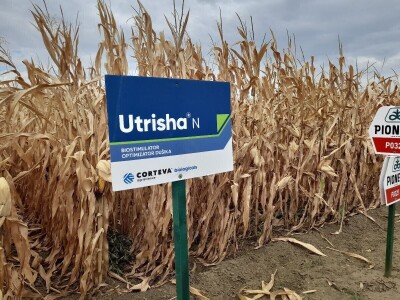 Dan polja kukuruza tvrtke Corteva na pokušalištu FAZOS-a