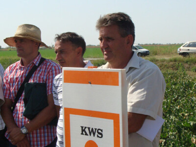 Dan polja KWS šećerne repe