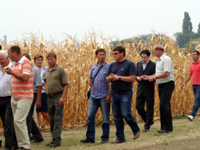 Dani polja Poljoprivrednog Instituta Osijek