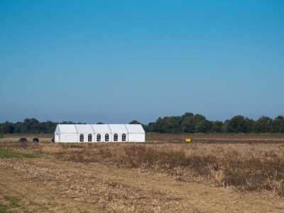 Dan polja Pioneer hibrida