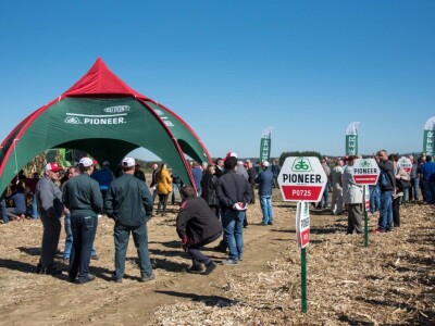 Dan polja Pioneer hibrida