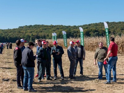 Dan polja Pioneer hibrida