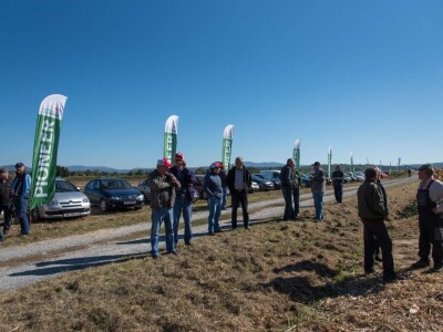 Dan polja Pioneer hibrida