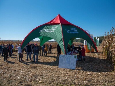 Dan polja Pioneer hibrida