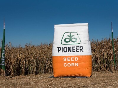 Dan polja Pioneer hibrida