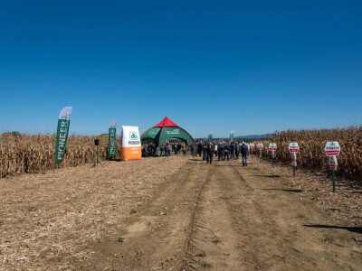 Dan polja Pioneer hibrida