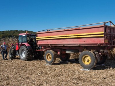 Dan polja Pioneer hibrida