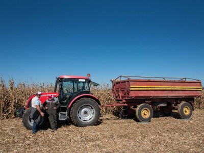 Dan polja Pioneer hibrida