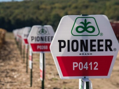 Dan polja Pioneer hibrida