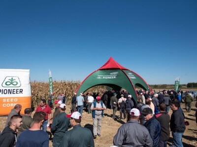 Dan polja Pioneer hibrida