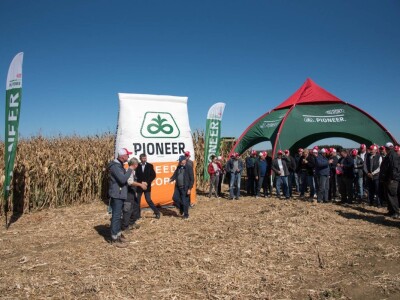 Dan polja Pioneer hibrida