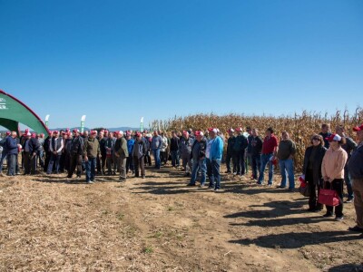 Dan polja Pioneer hibrida