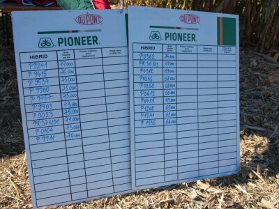 Dan polja Pioneer hibrida