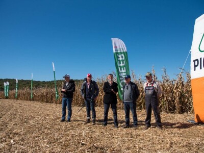 Dan polja Pioneer hibrida