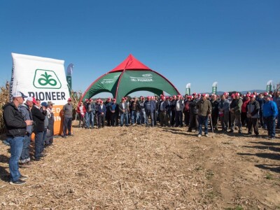 Dan polja Pioneer hibrida