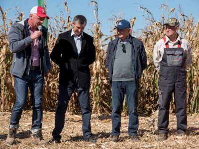 Dan polja Pioneer hibrida