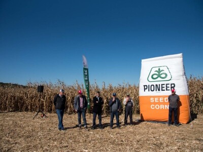 Dan polja Pioneer hibrida