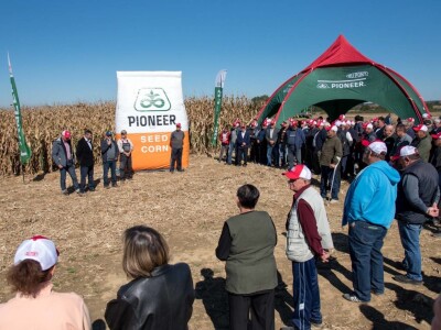 Dan polja Pioneer hibrida