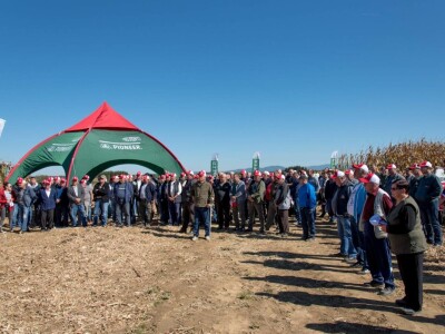 Dan polja Pioneer hibrida