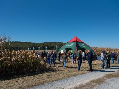 Dan polja Pioneer hibrida