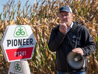 Dan polja Pioneer hibrida