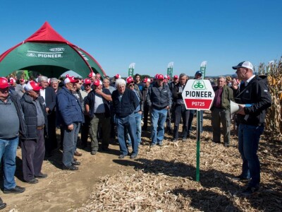 Dan polja Pioneer hibrida