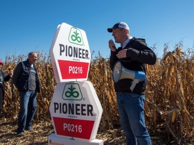 Dan polja Pioneer hibrida