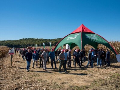 Dan polja Pioneer hibrida