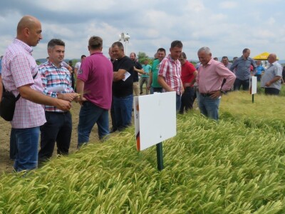 Dan polja pivarskog ječma