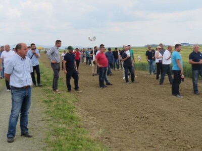 Dan polja pivarskog ječma