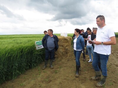 Dan polja pivarskog ječma