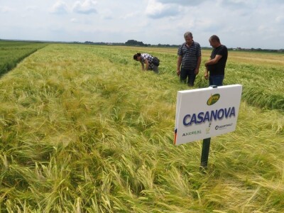 Dan polja pivarskog ječma