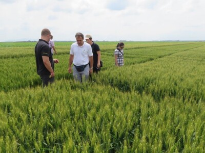 Dan polja pivarskog ječma