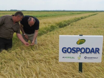 Dan polja pivarskog ječma