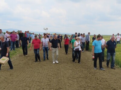 Dan polja pivarskog ječma