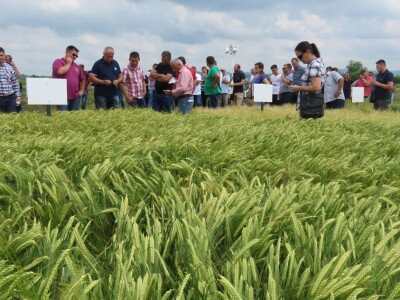 Dan polja pivarskog ječma