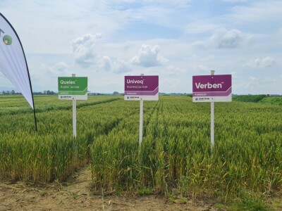 Dan polja pivarskog ječma Axereal