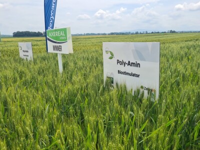 Dan polja pivarskog ječma Axereal