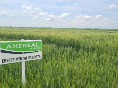Dan polja pivarskog ječma Axereal