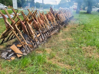 Dan polja pivarskog ječma Axereal